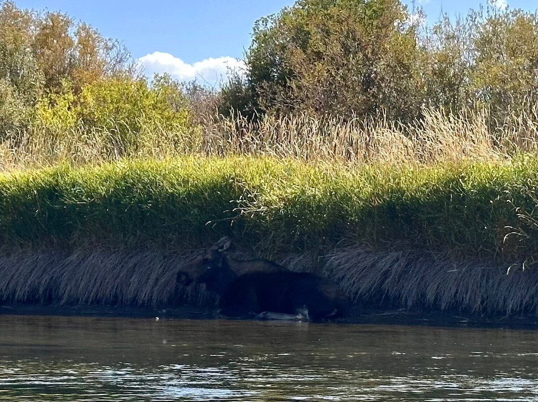 Teton River Supply-德里格斯必去景点