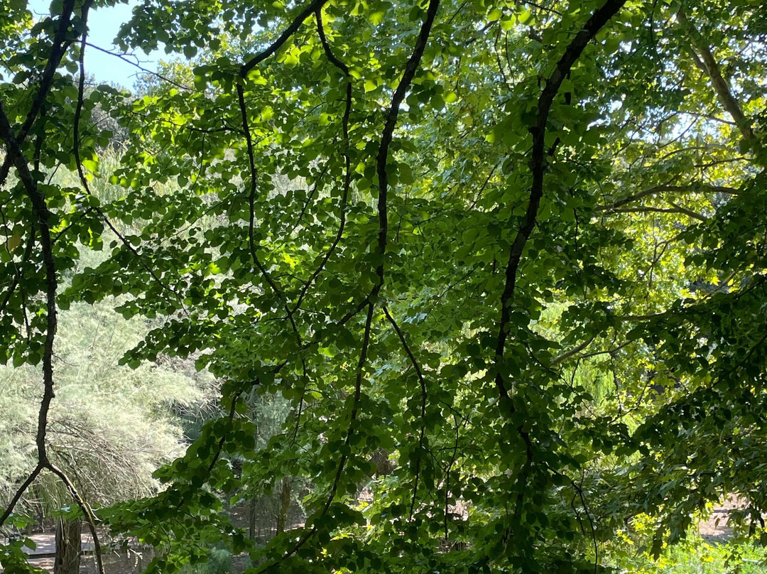 Città Della Domenica-佩鲁贾必去景点