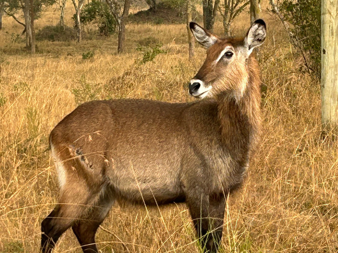 Jinja Bike Tours And Safaris-Buikwe必去景点