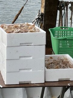 Porto Canale-Porto Garibaldi必去景点