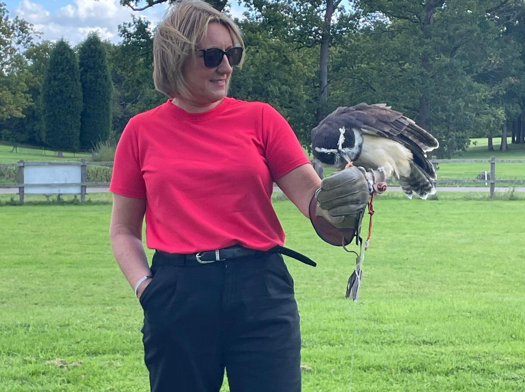 Surrey Hills Falconry-Ockley必去景点
