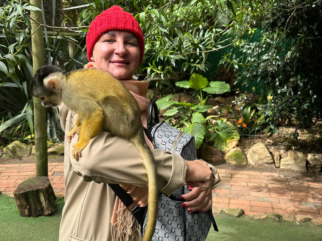 World of Birds-开普敦中心区必去景点