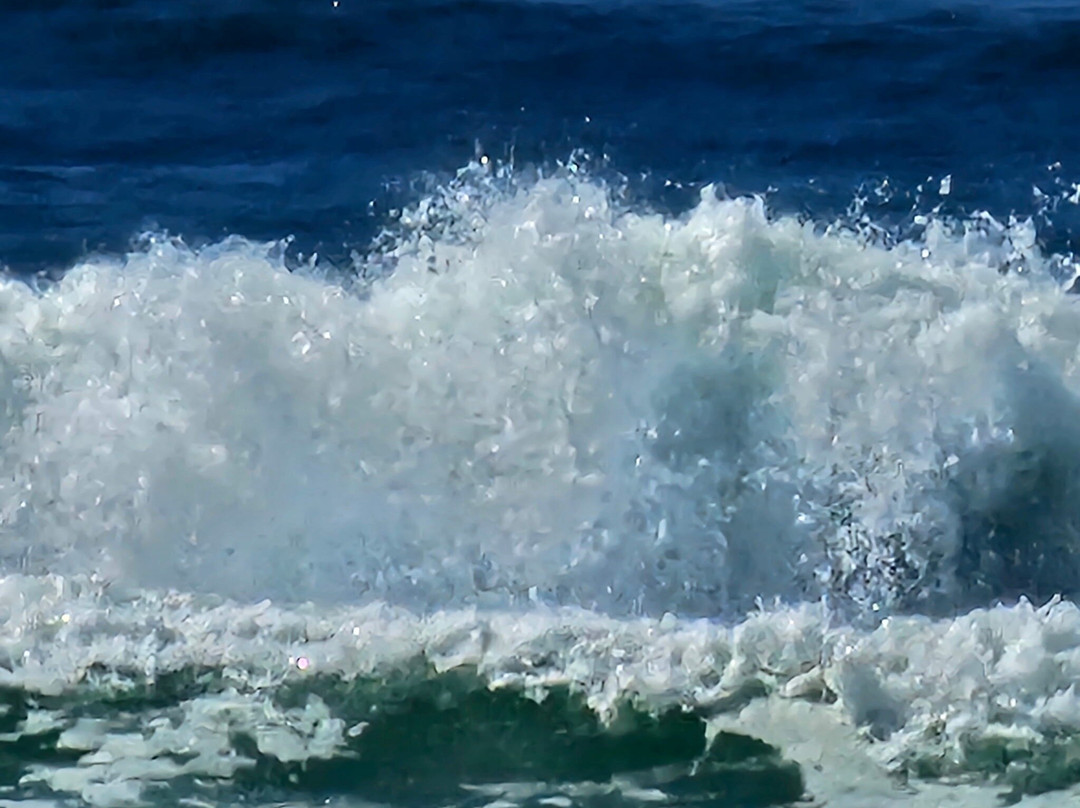 Sonoma Coast State Beach - Salmon Creek-博德加湾必去景点