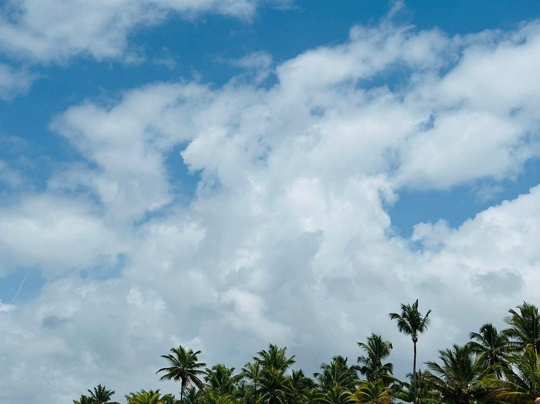 Algodoes Beach-Barra Grande必去景点