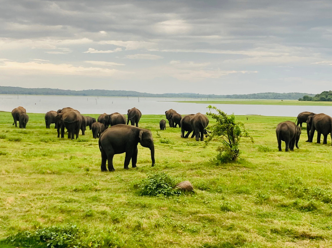 Breeze Ceylon Trails-Kekirawa必去景点