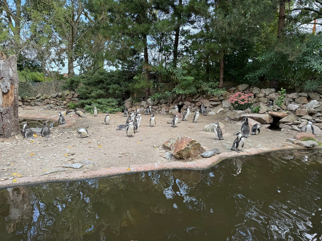 Vogelpark Avifauna-Alphen aan den Rijn必去景点