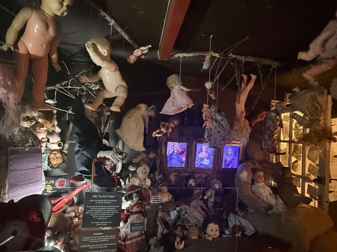 The Museum Of Curiosities-诺丁汉必去景点
