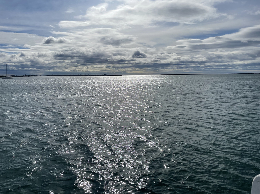 Boat Harbour Jetty-Port Albert必去景点