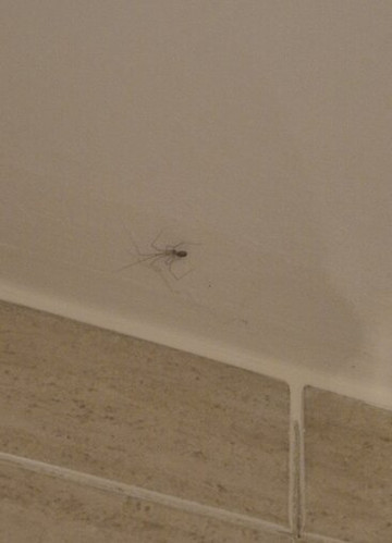 新巴达旅馆主图