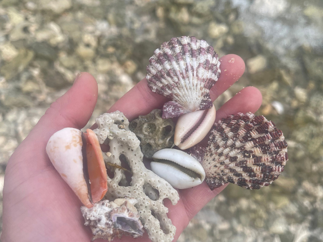 Lucky's Beach Houses主图