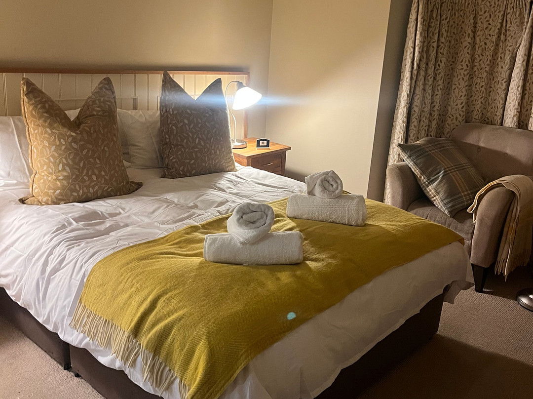 Y Meirionnydd Hotel主图