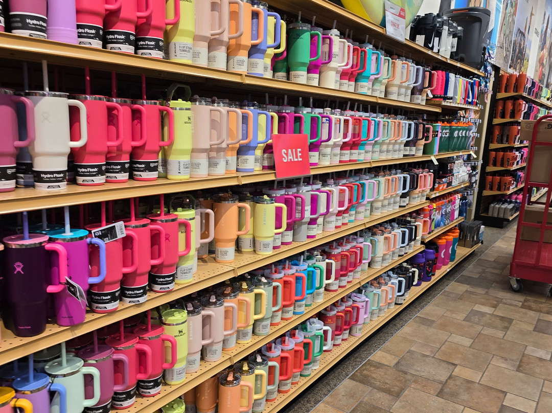 Scheels-比灵斯必去景点