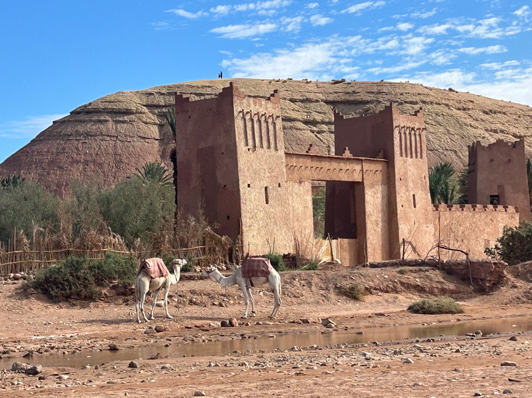 Dades Aventures - Day Tours-瓦尔扎扎特必去景点