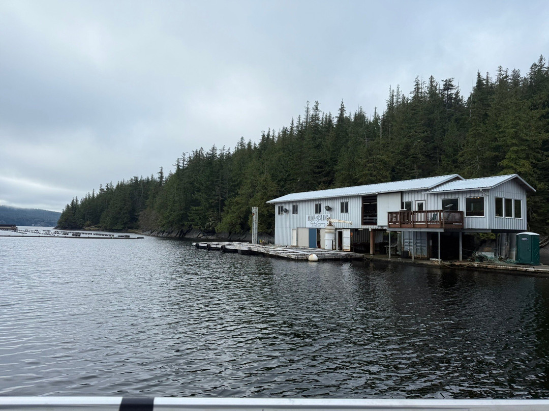 Hump Island Oyster & Kelp Farm with Tasting-凯奇坎必去景点