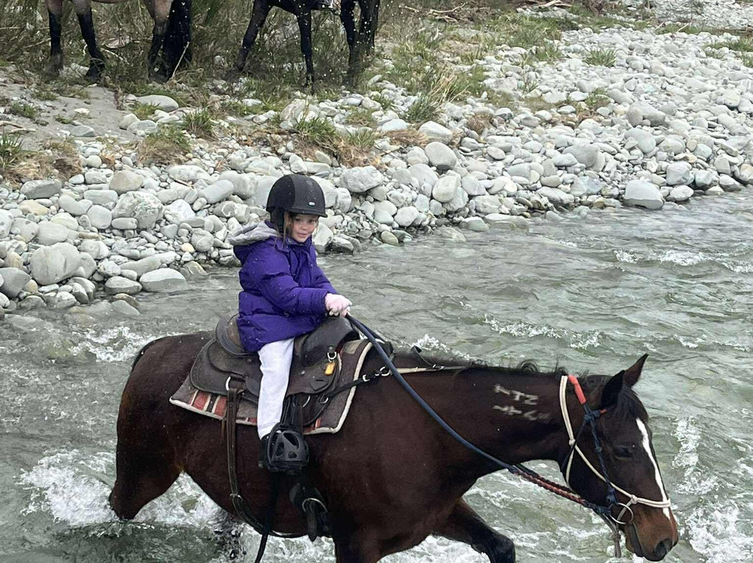 Real Kiwi Horse Trekking-菲尔利必去景点