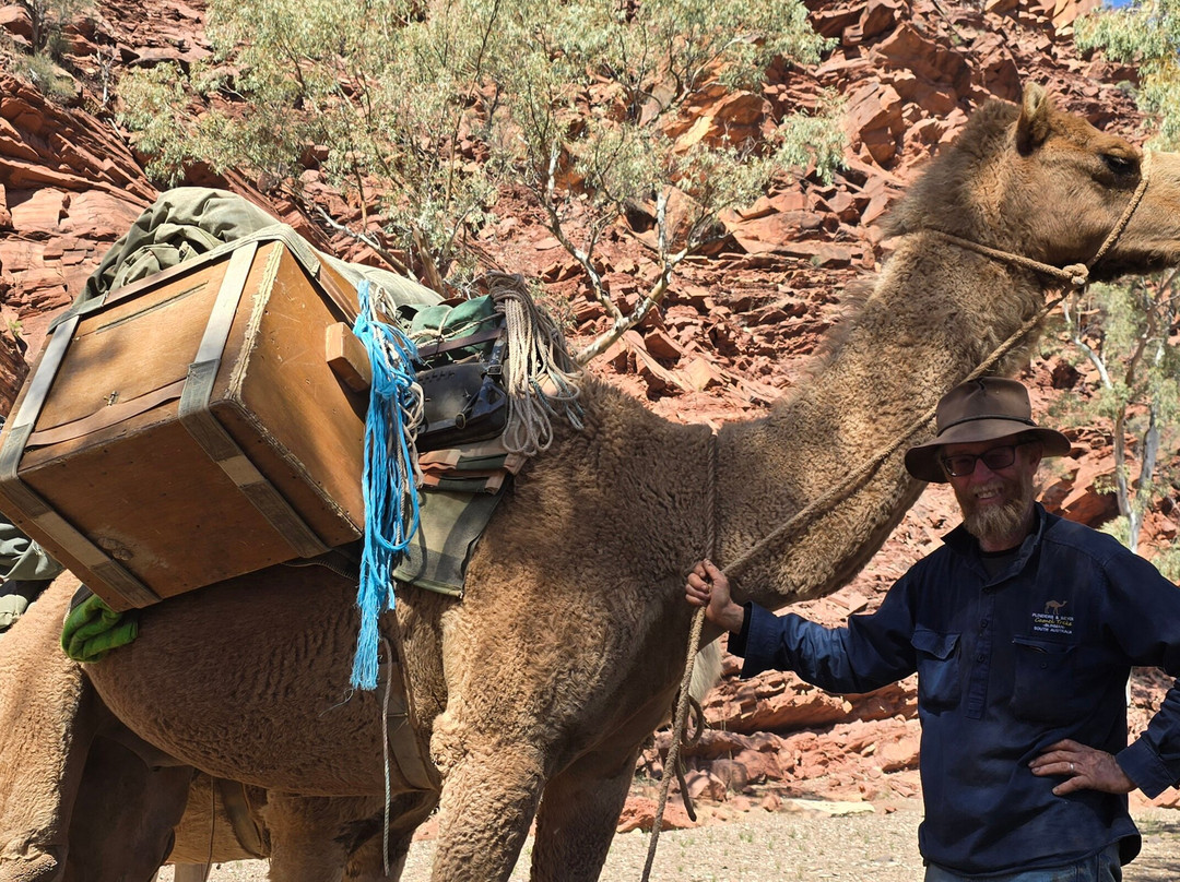 Park Trek Walking Holidays-墨尔本必去景点