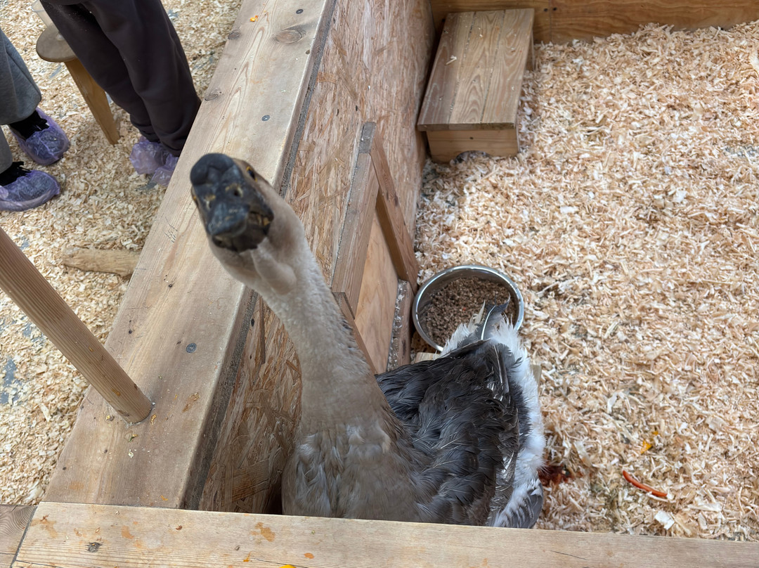 Strana Enotiya-克拉斯诺亚尔斯克必去景点