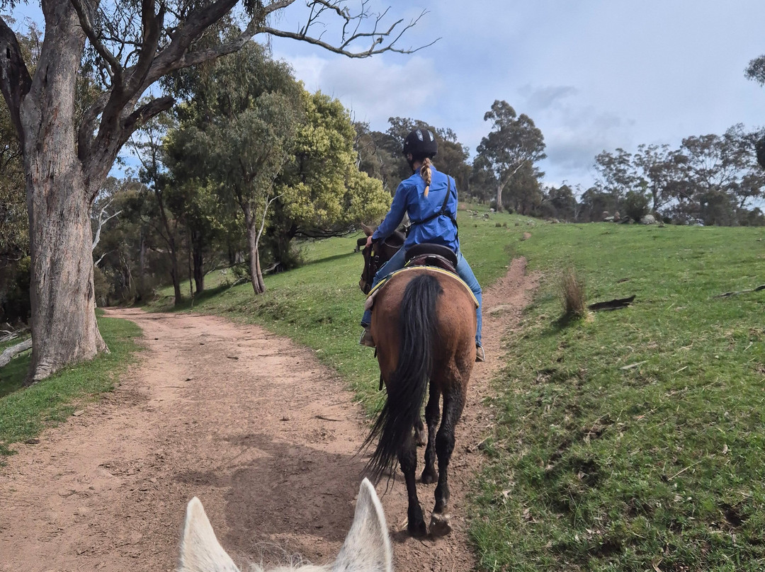 Watson's Mountain Country Trail Rides - Day Tours-曼斯菲尔德必去景点