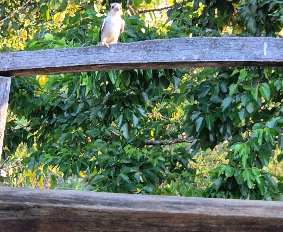 The Old Church Bed & Breakfast主图