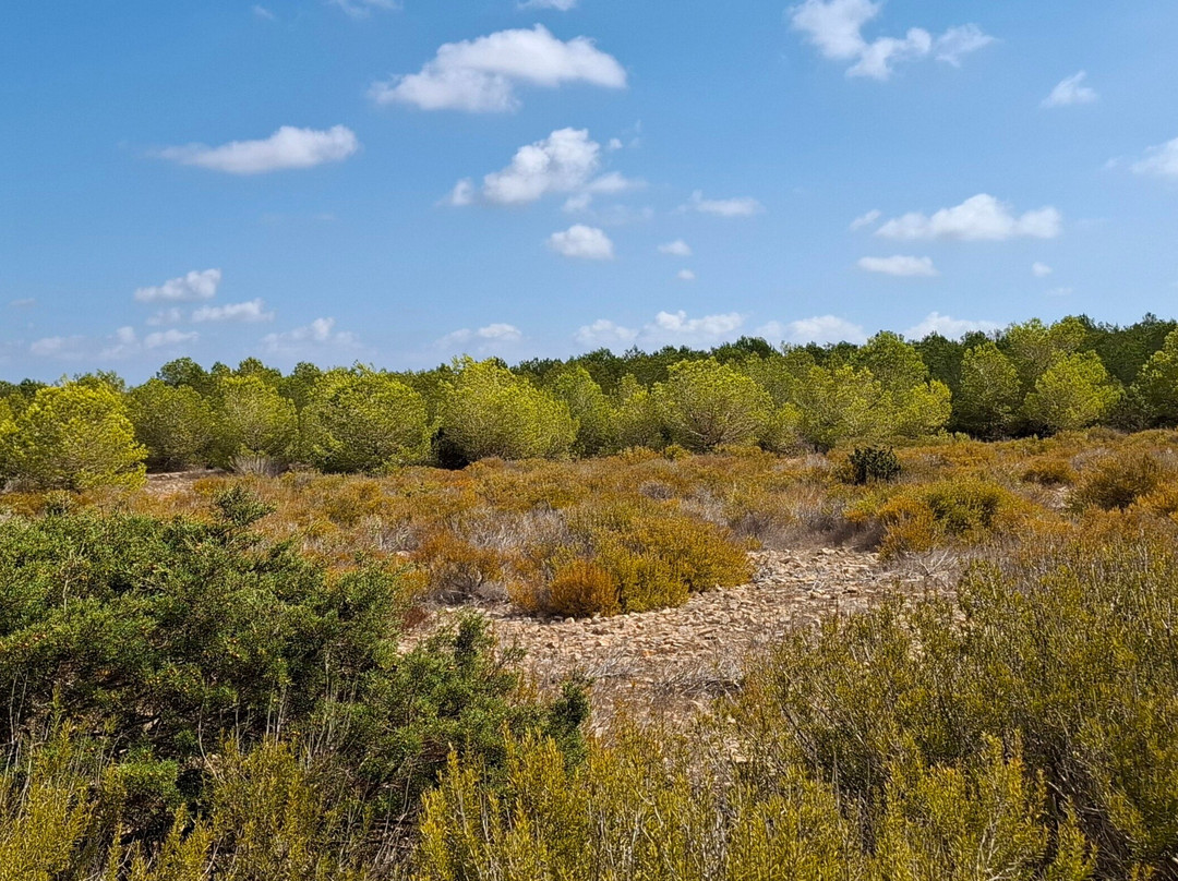 National Park Cap de Barbaria-Es Cap de Barbaria必去景点