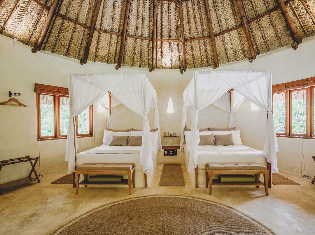 One Santuario Natural主图