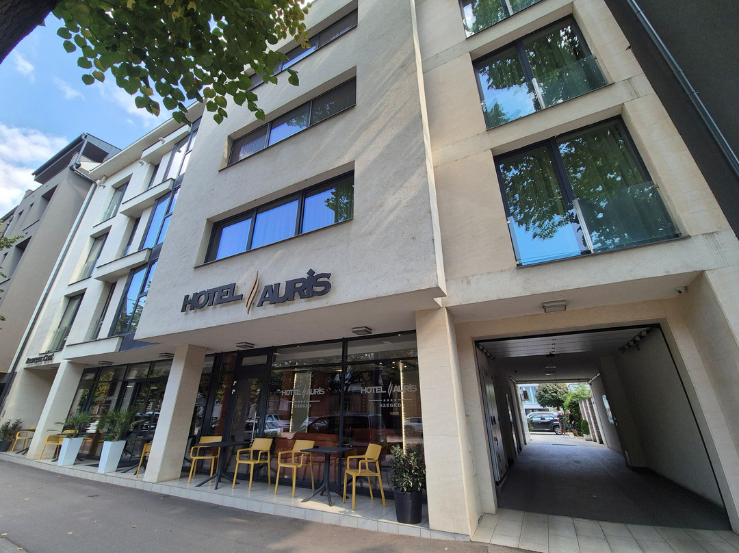 Hotel Auris主图