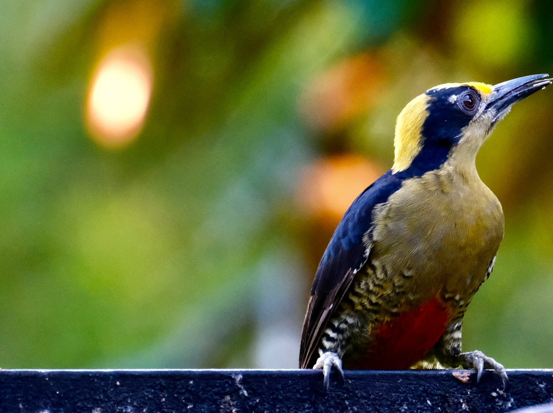 0S3 Private Tours-哈科必去景点