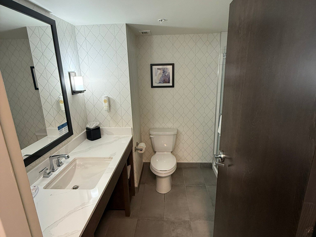 Comfort Inn & Suites主图