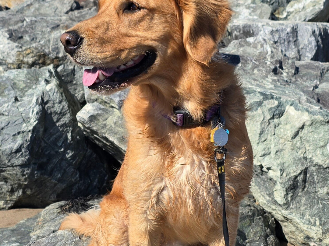 Tru By Hilton Yarmouth主图