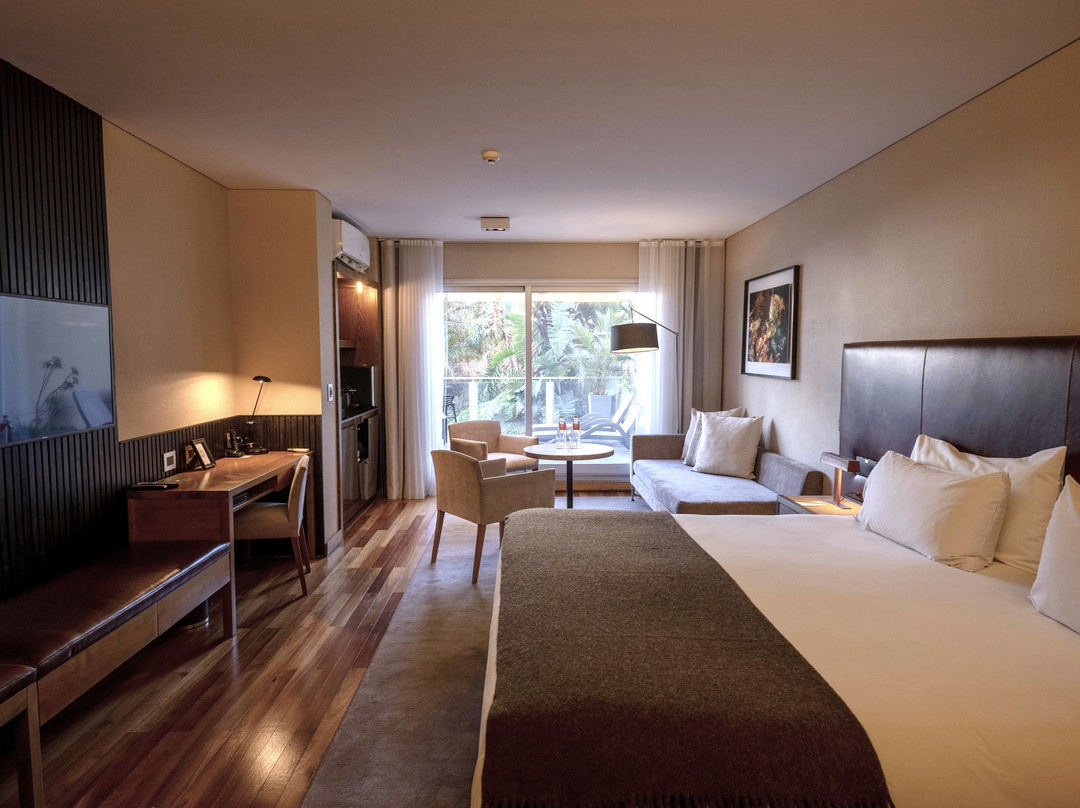 布宜诺斯艾利斯酒店主图