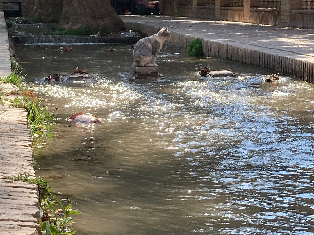 Shazdeh Garden-克尔曼必去景点