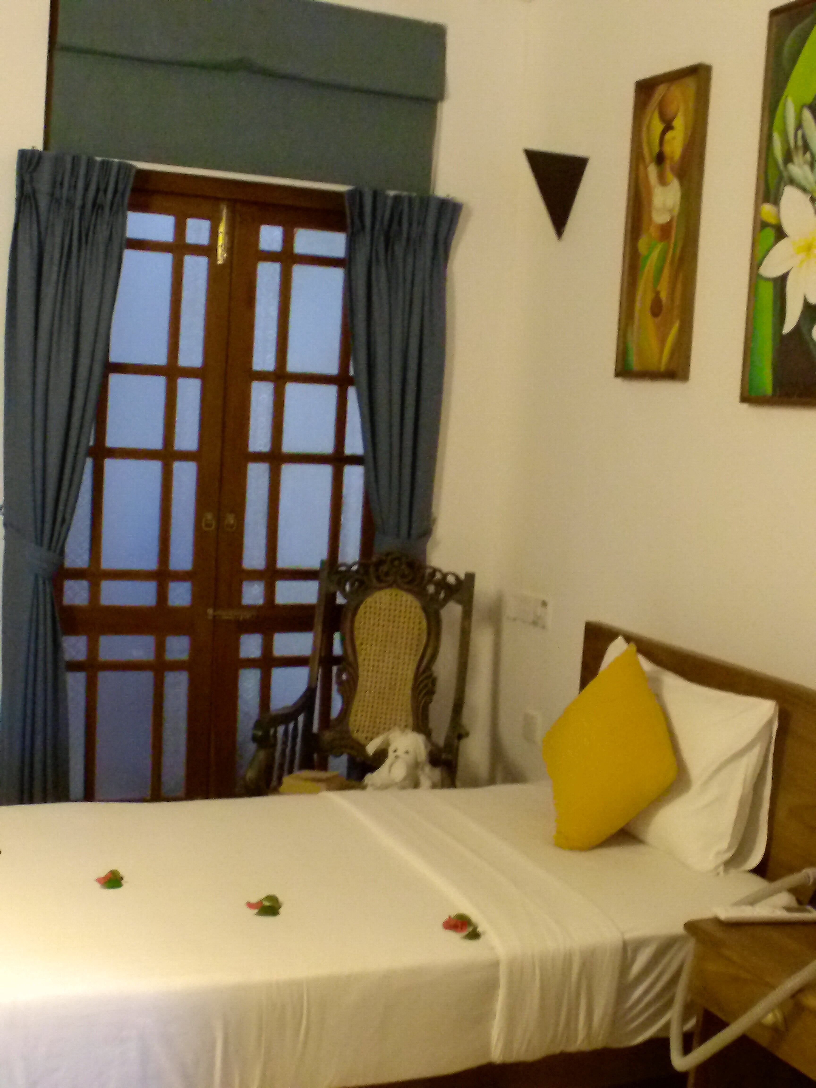 Roman Life Ayurveda Resort-客卧