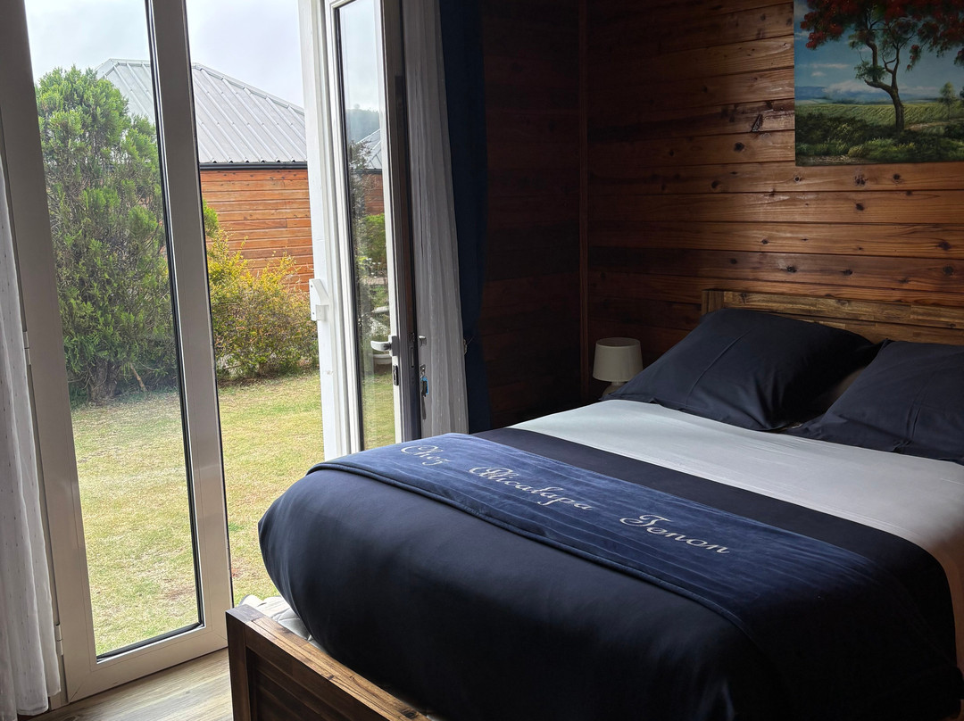 Alicalapa-Tenon Clement主图