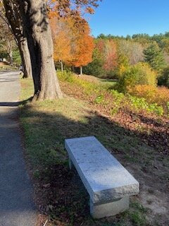 Laurel Hill Cemetery-萨考必去景点