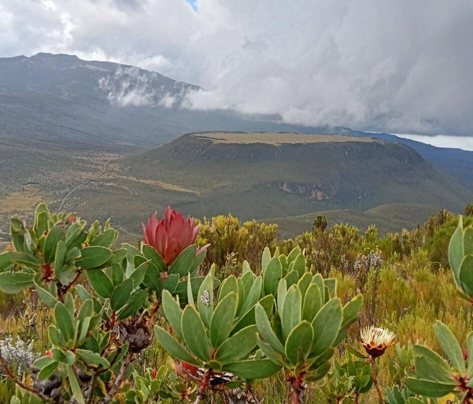 Mt. Kenya Explorer Safaris-Chogoria必去景点