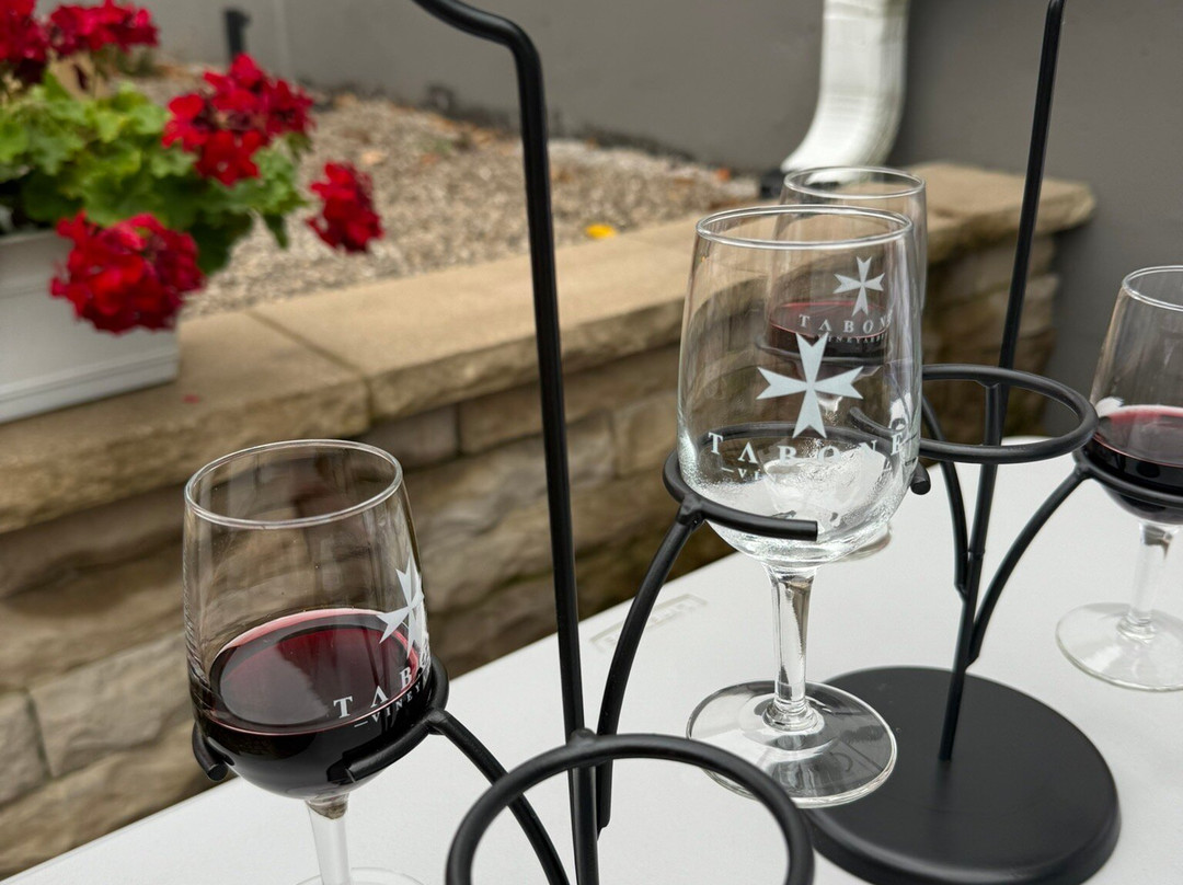 Tabone Vineyards-特拉弗斯城必去景点