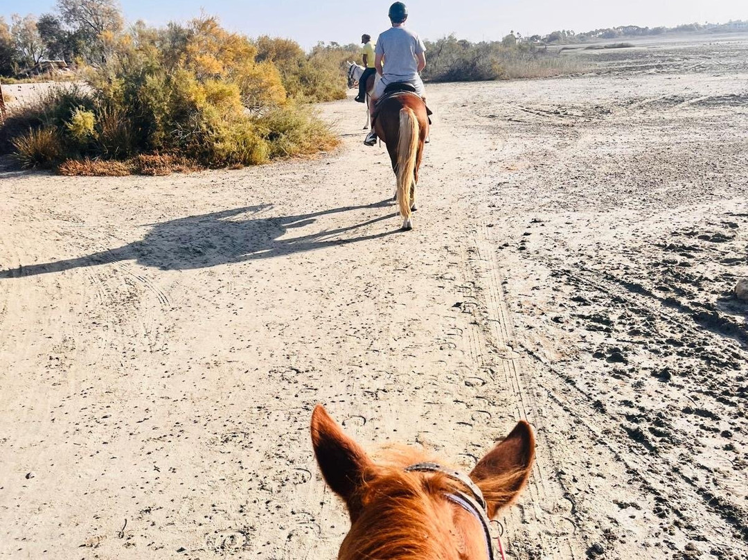 Salt Lake Stables-Marmari必去景点