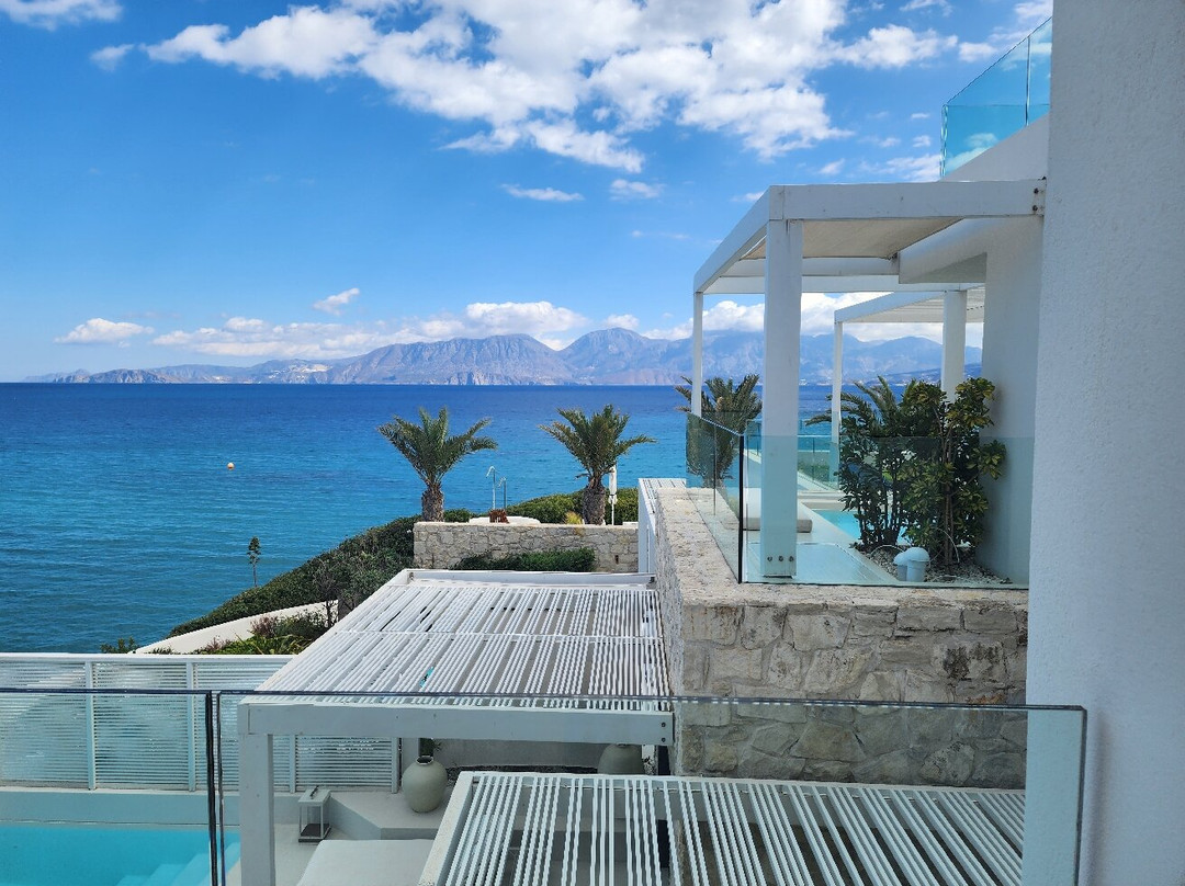 The Island Concept主图