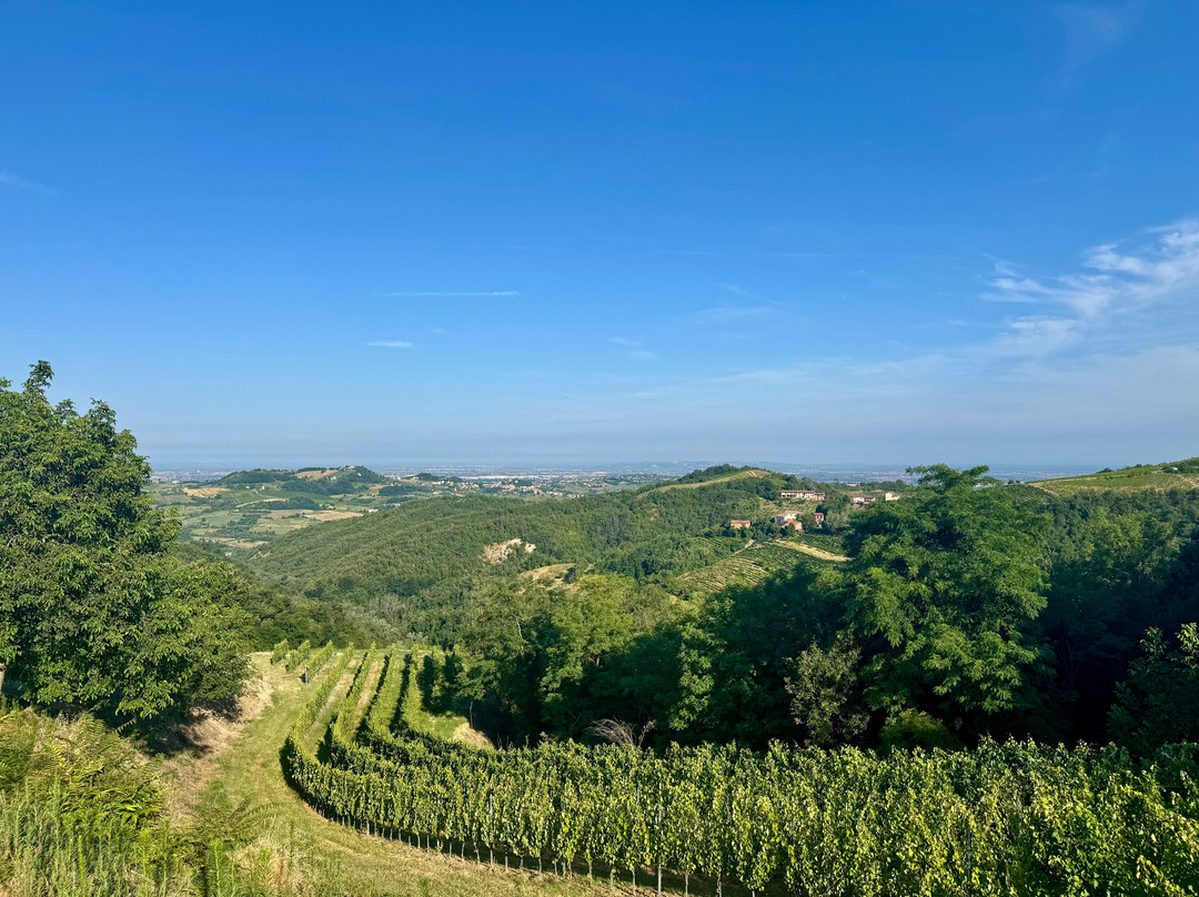 Sassaia Winery-Capriata d'Orba必去景点