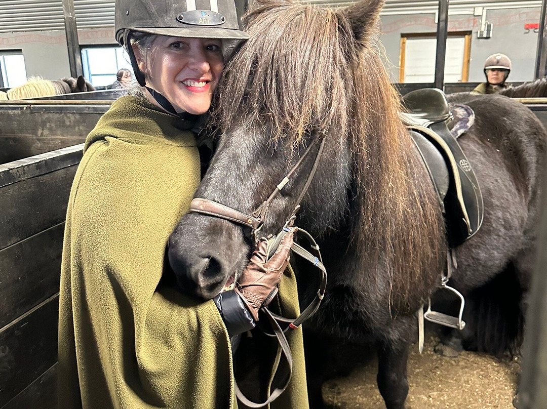 Mr. Iceland-莫斯费德斯拜尔必去景点