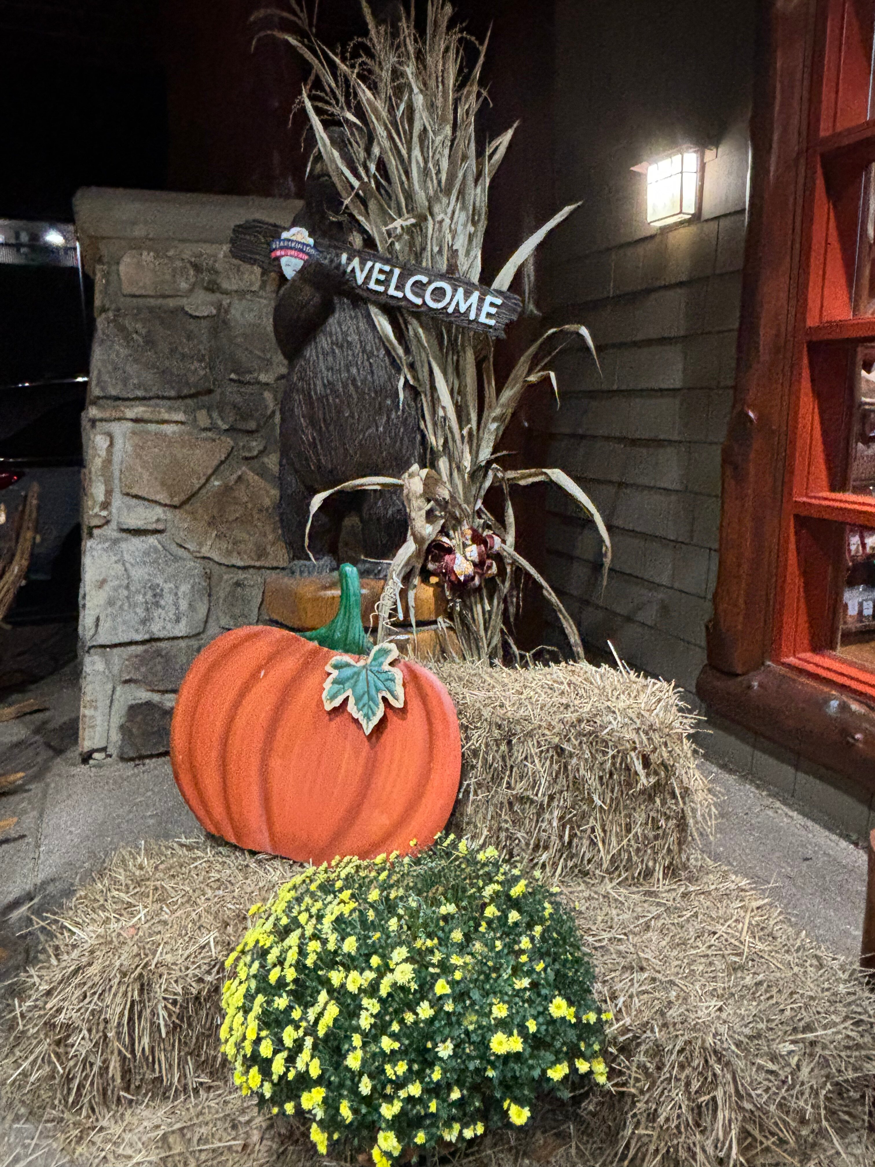 Bearskin Lodge on the River Hotel-浴室