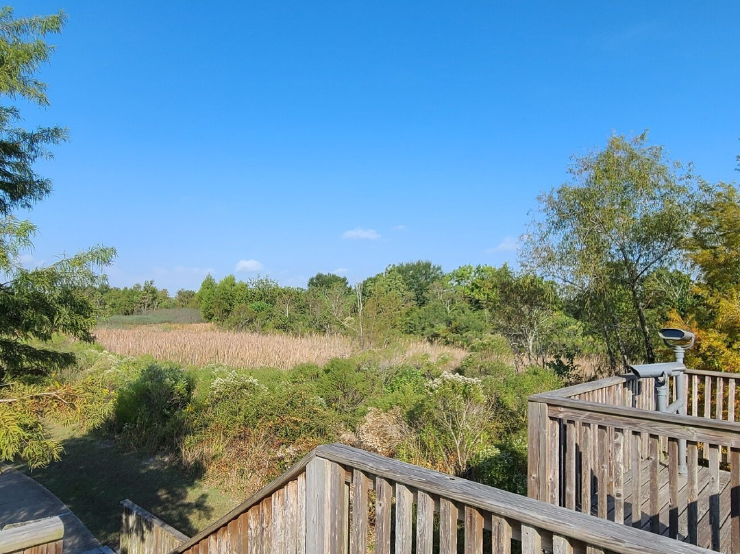 Shadow Creek Ranch Nature Trail-皮尔兰必去景点