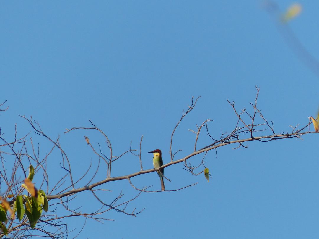 西巴厘岛国家公园-巴厘岛必去景点