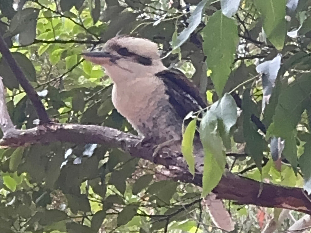 Murramarang National Park-East Lynne必去景点
