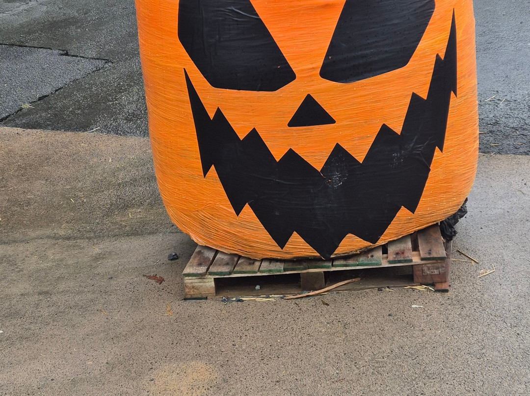 Streamvale Open Farm-贝尔法斯特必去景点