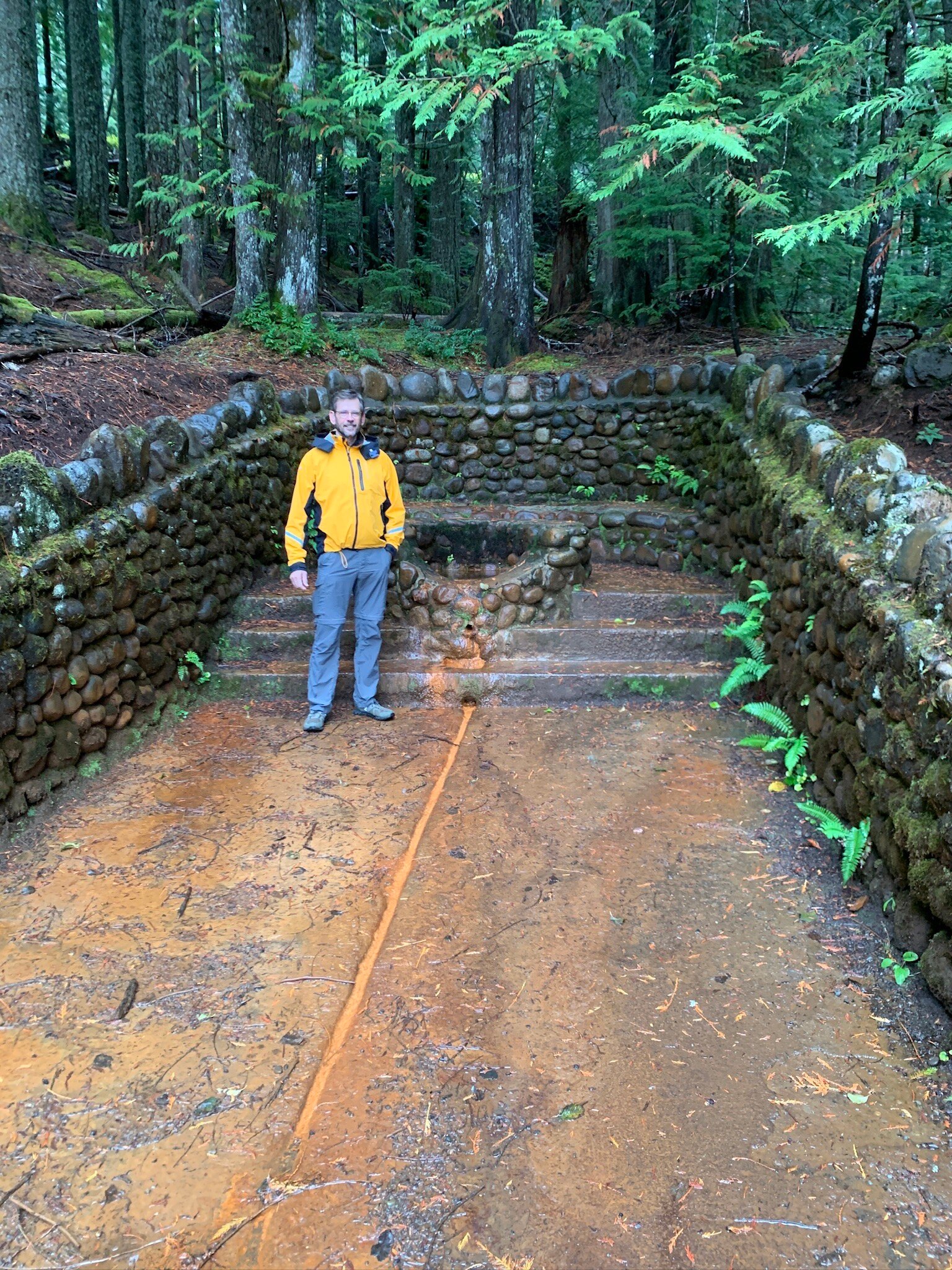 芒特雷尼尔国家公园酒店-官方