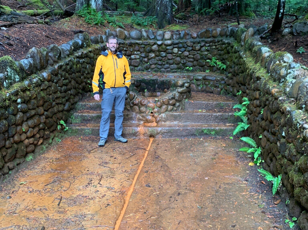 芒特雷尼尔国家公园酒店主图