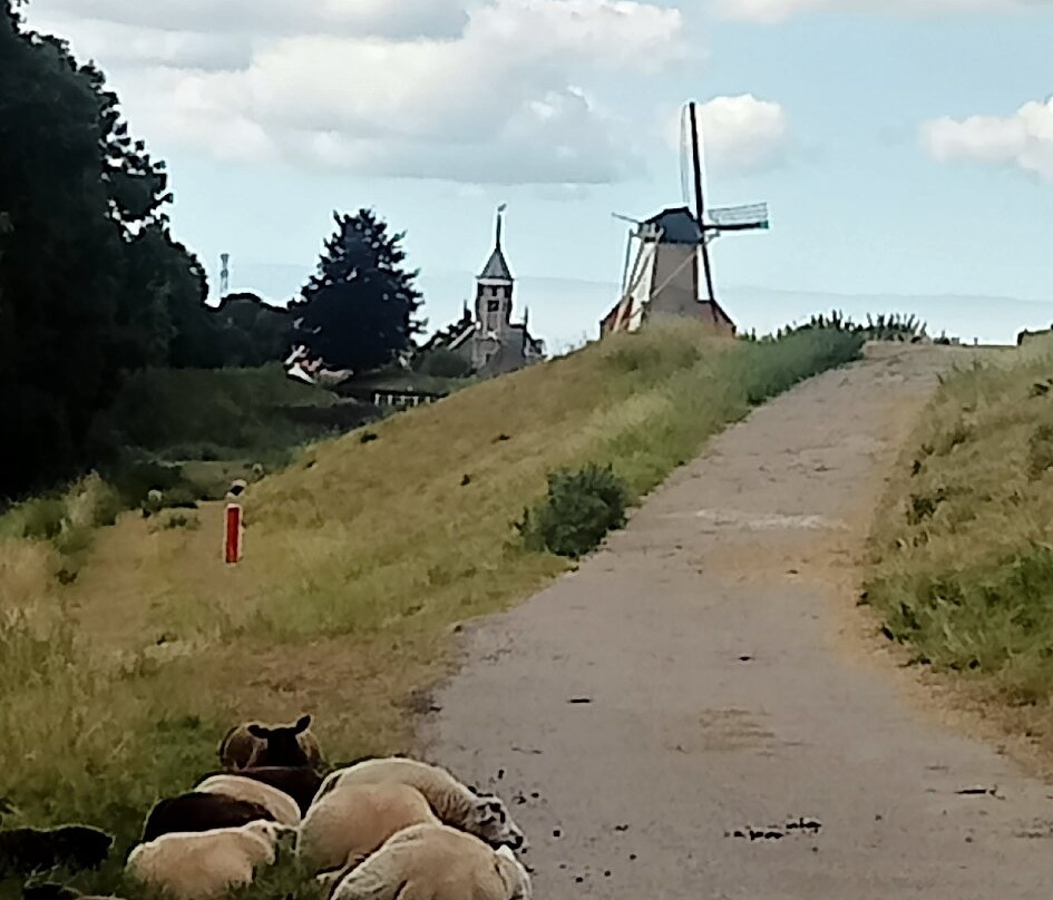Stellingmolen D' Orange (1734)-Willemstad必去景点