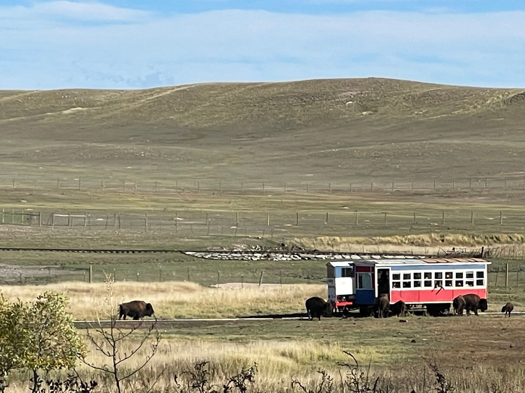 Terry Bison Ranch Resort-夏延必去景点