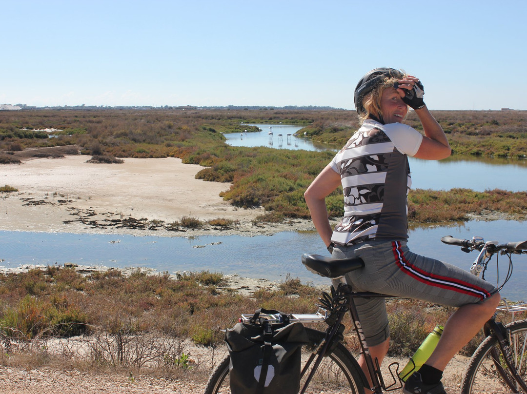 Pedrotours-贝赫尔－德拉弗龙特拉必去景点